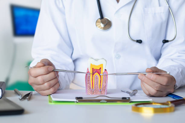 Best Emergency Dentist for Lost Fillings or Crowns in Marlinton, WV